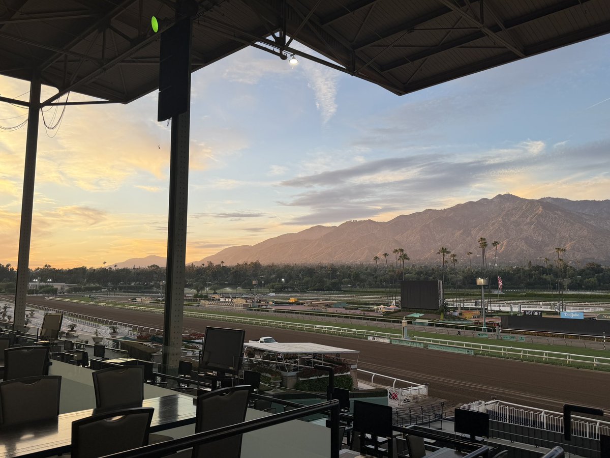 Michelle Yu tweet media