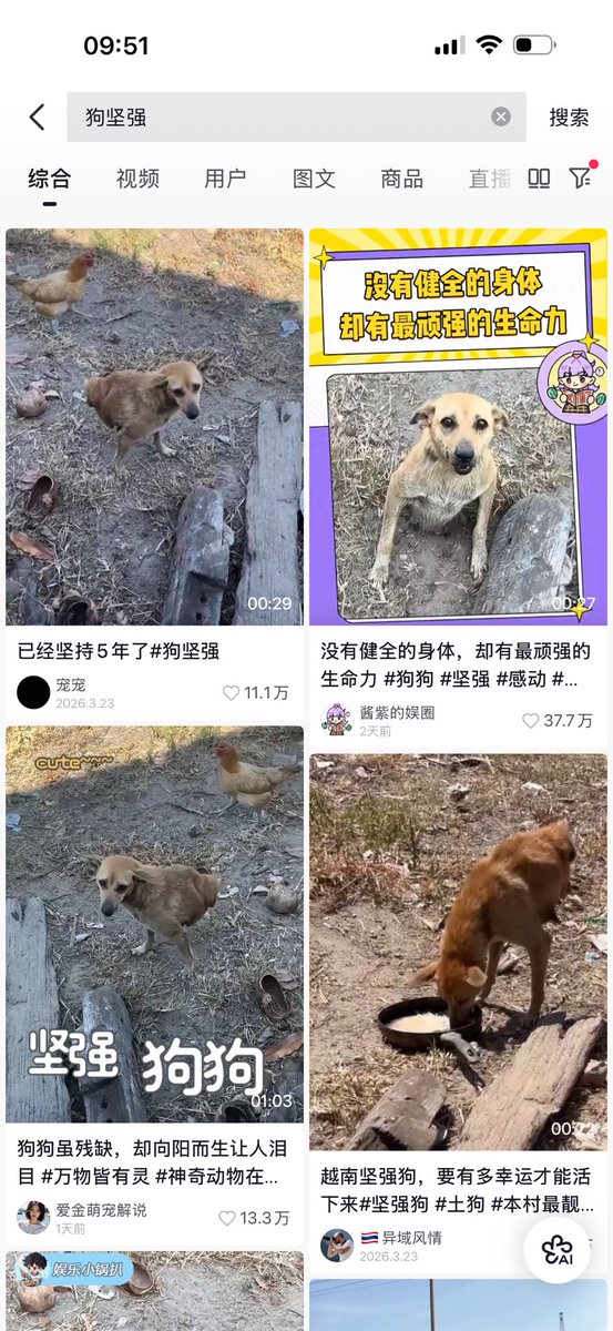 普通市民 tweet media