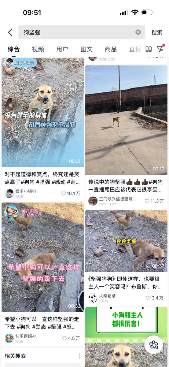 普通市民 tweet media