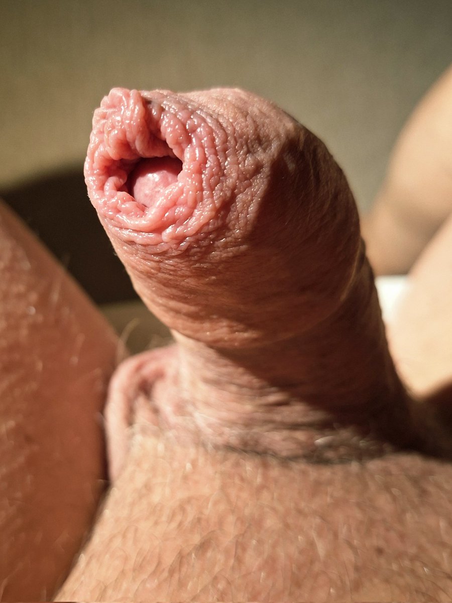 primapiemel tweet media