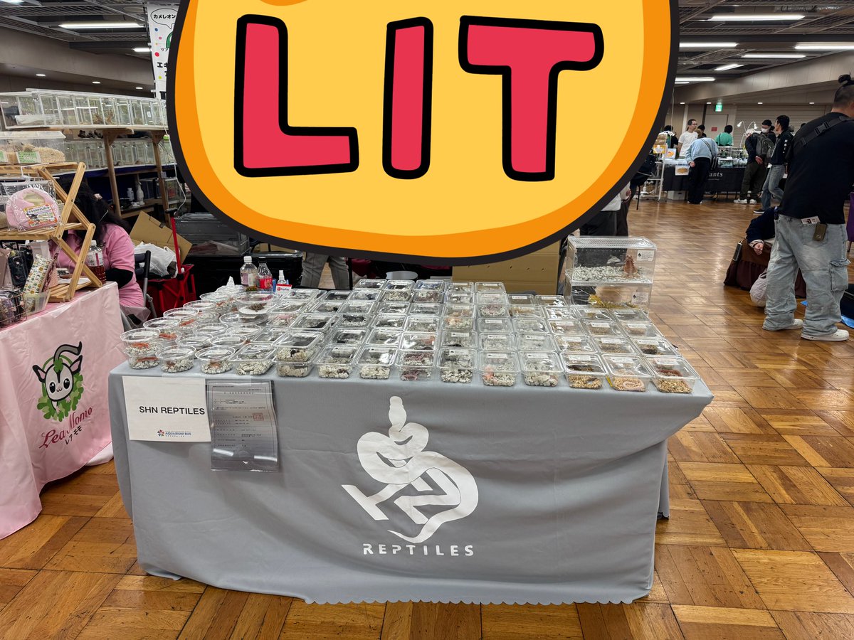 SHN REPTILES 3.0💮28.29日ナゴレプ、アクバス tweet media