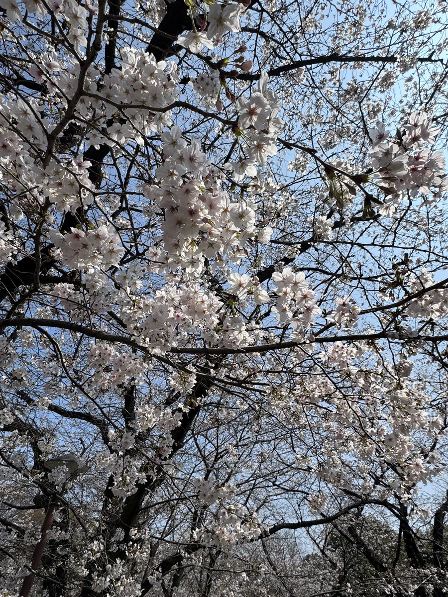 Ma-channel🏍SSTR2026初参加準備中😊👍 tweet media