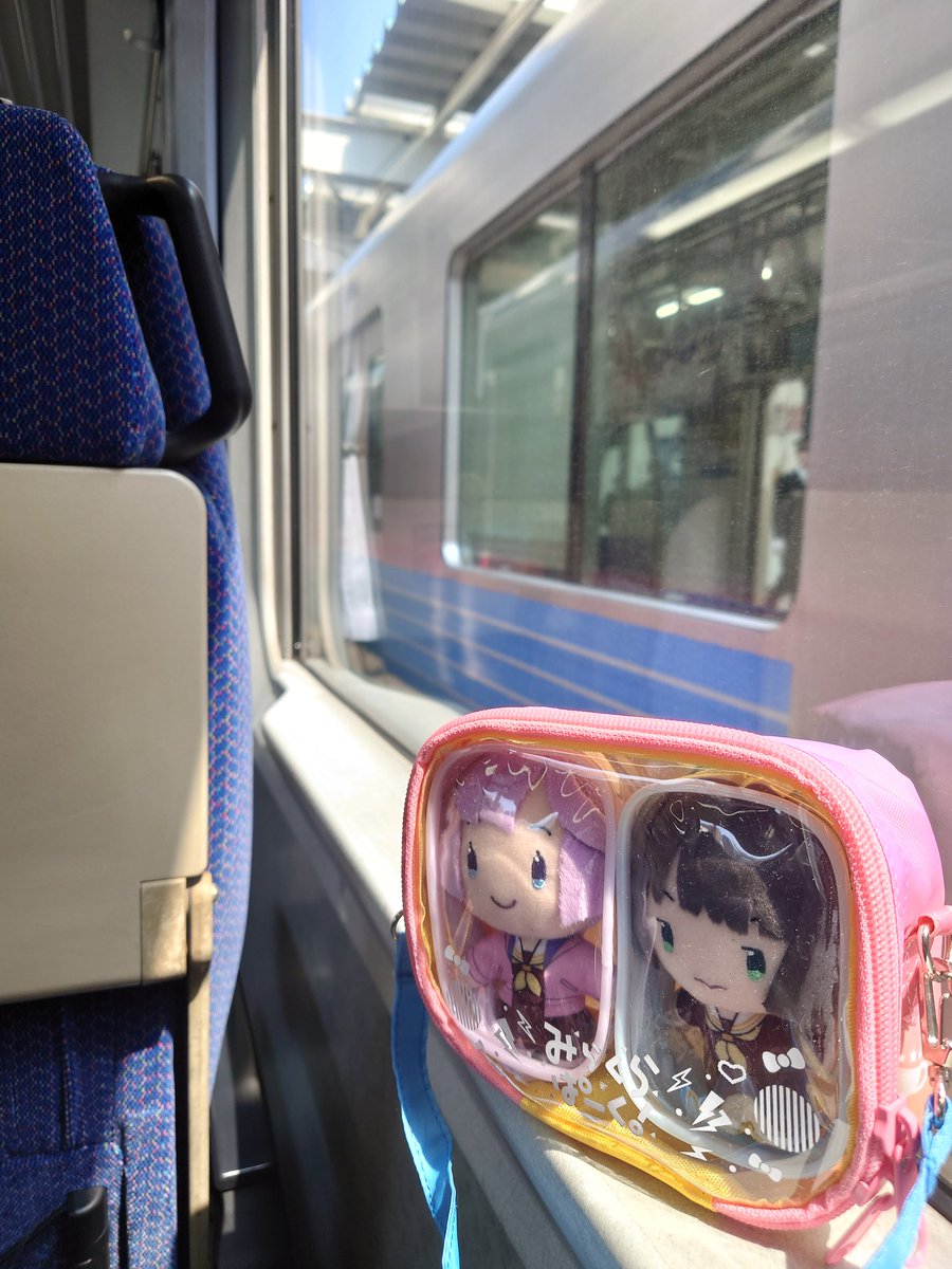 ケルン tweet media