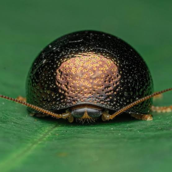 🍂pracklyy🍂 tweet media