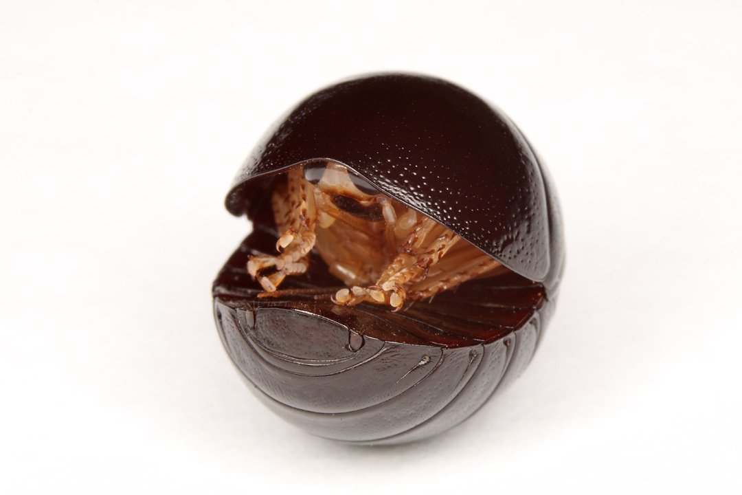 🍂pracklyy🍂 tweet media