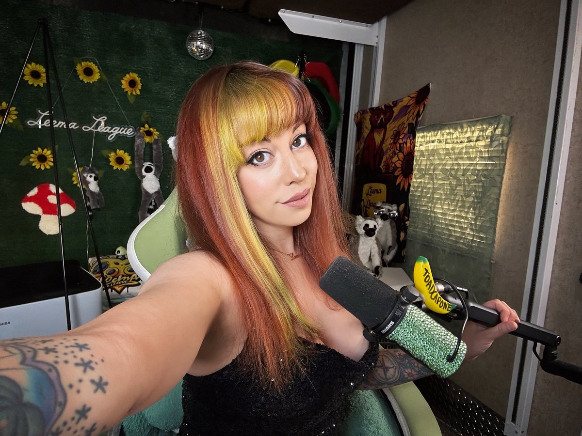 leemaleestream tweet media