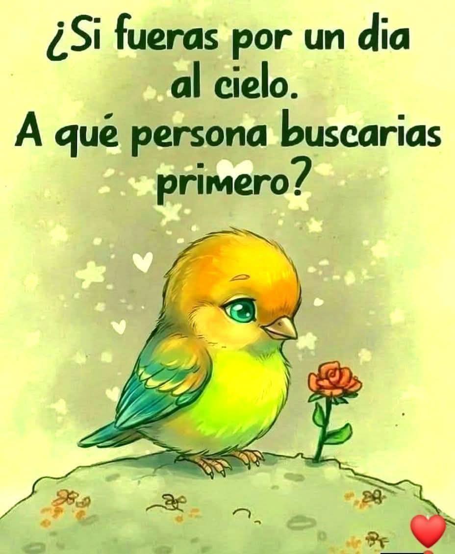 Manu Saenz💛💛 tweet media