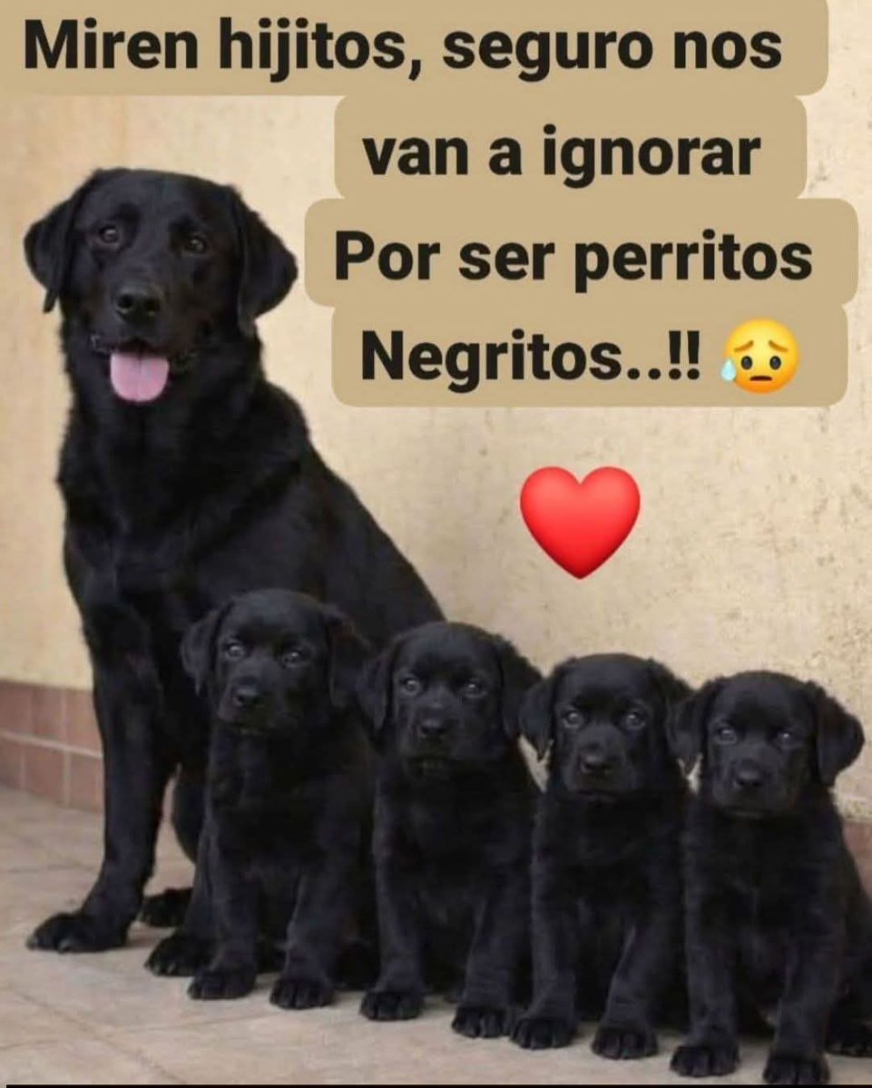 Manu Saenz💛💛 tweet media