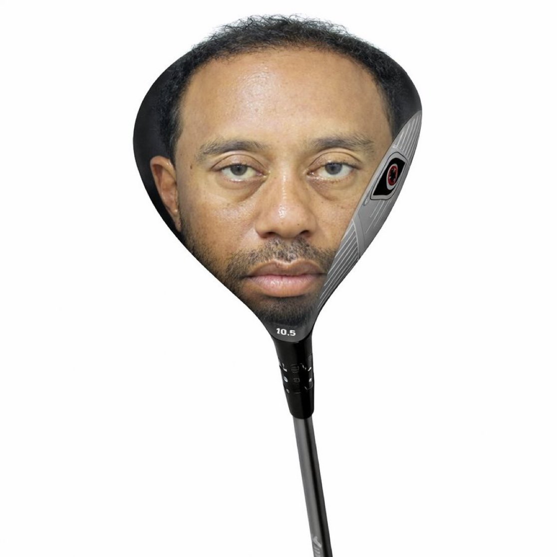 PartieDon tweet media