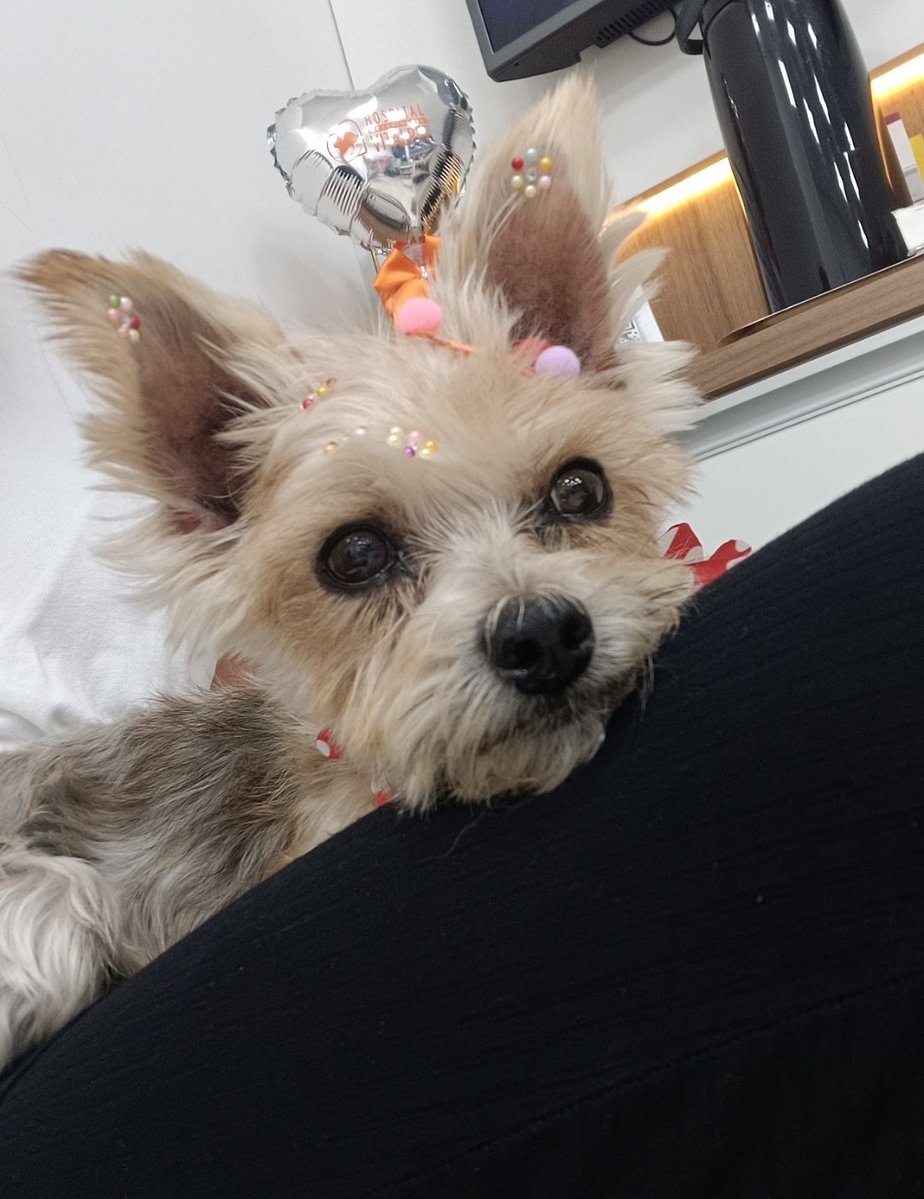 mavis 🪭 vai ver o bts tweet media