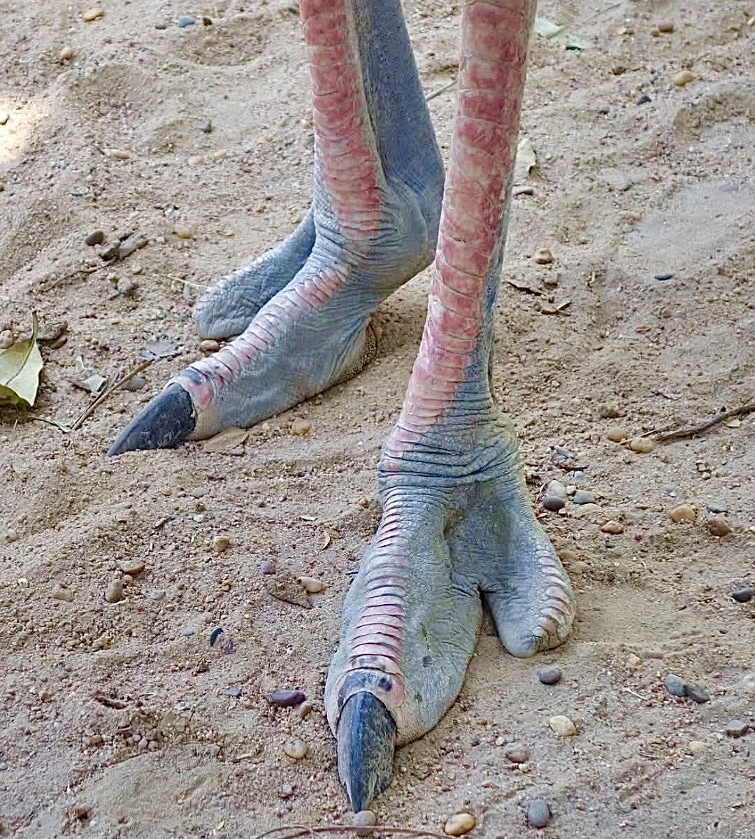 Denise 🇺🇸 tweet media