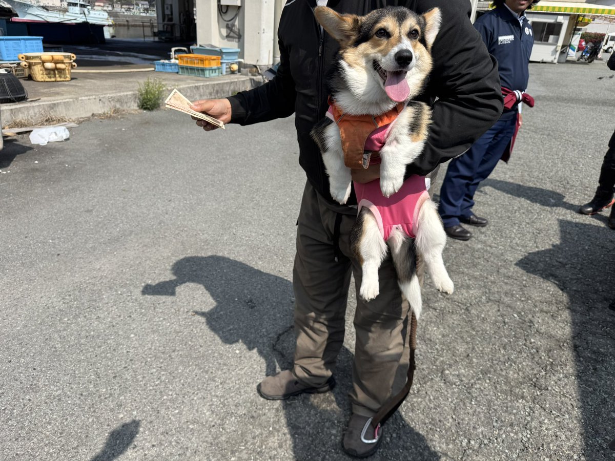 おにぎり tweet media