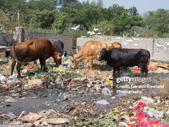 UremO 👑 tweet media