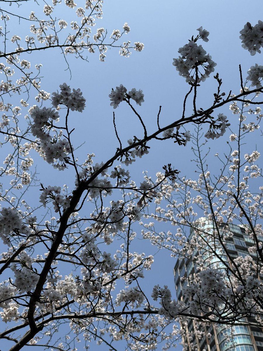 らて@ヘビーラバーフェチ兼ワインソムリエ tweet media