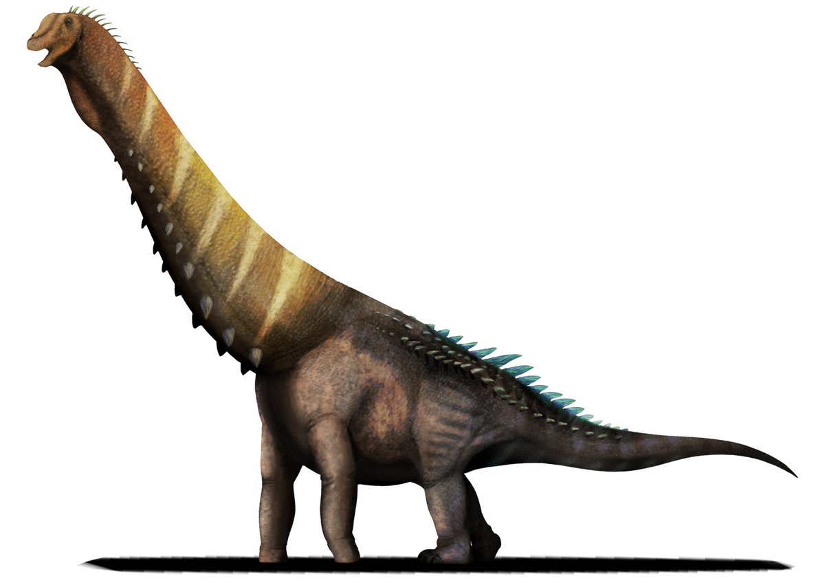 Lcoa (Quetzalcoatlus) tweet media