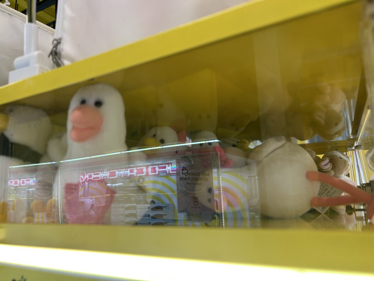 ぼんやり tweet media