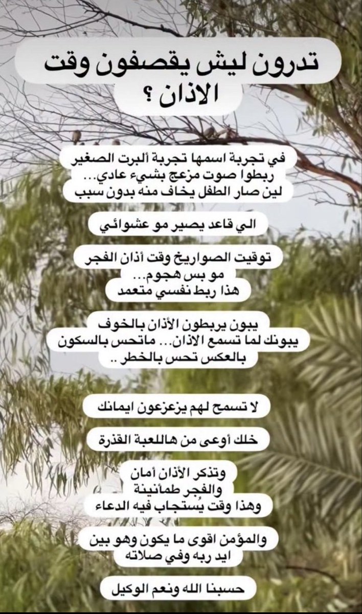 اوستازه:دودو tweet media