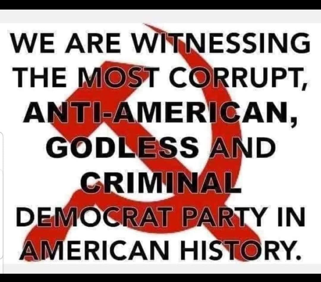 Viola Spira tweet media