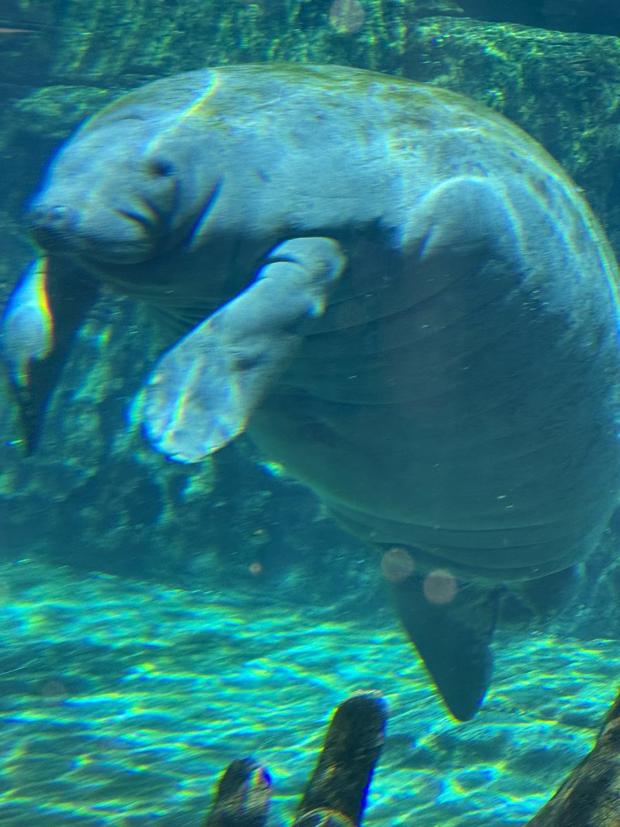 Fun day with my Hunny 🥰