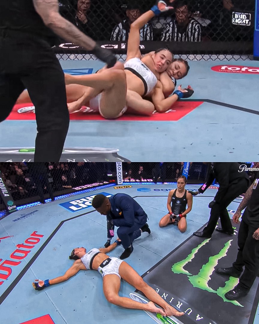 Home of Fight tweet media