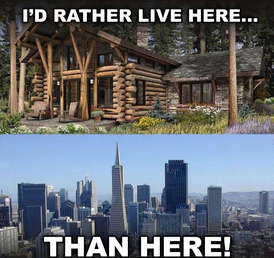 Sarah Sizzle tweet media