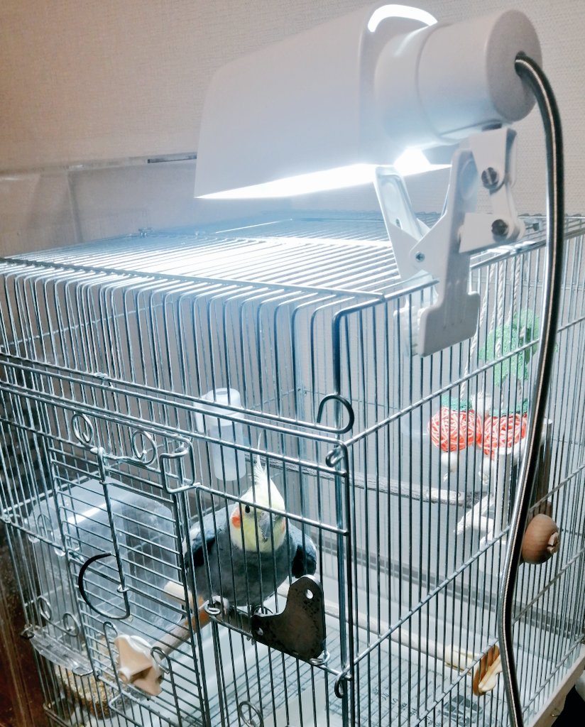 Mi3𓅪𖤣𖥧𖥣𖡡𖥧𖤣 tweet media