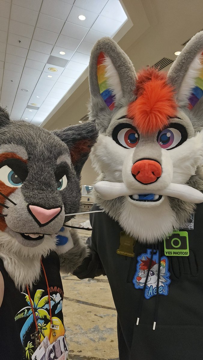 Kurdan_Sourpuss's tweet photo. @AceydaWacey found you!! https://t.co/kI4OWj9xJf