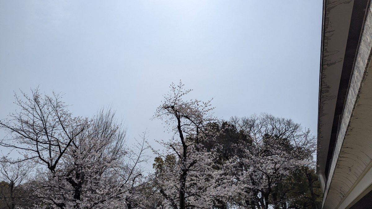 OTTE🫴🌙 tweet media