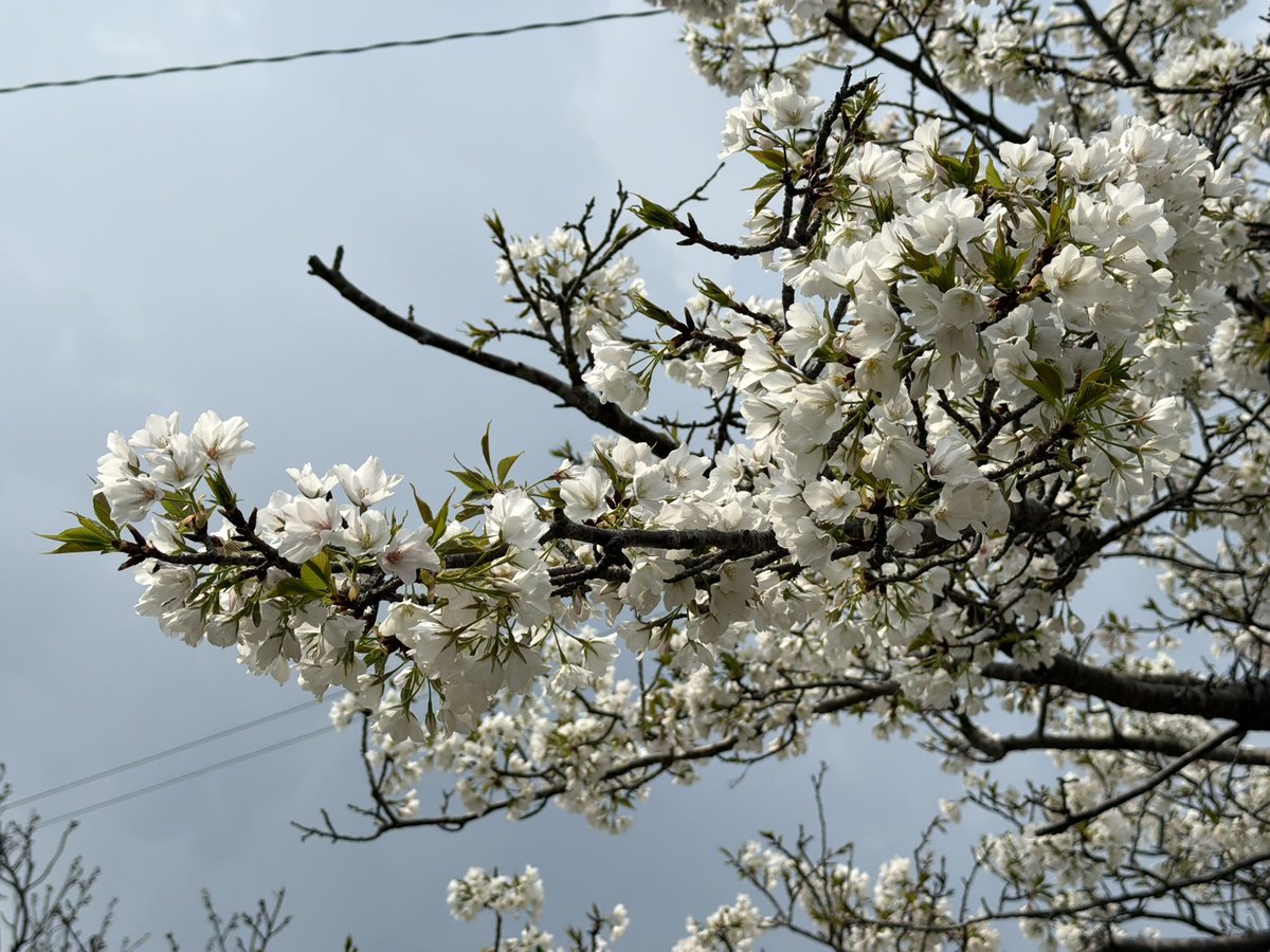 Wind Calm tweet media