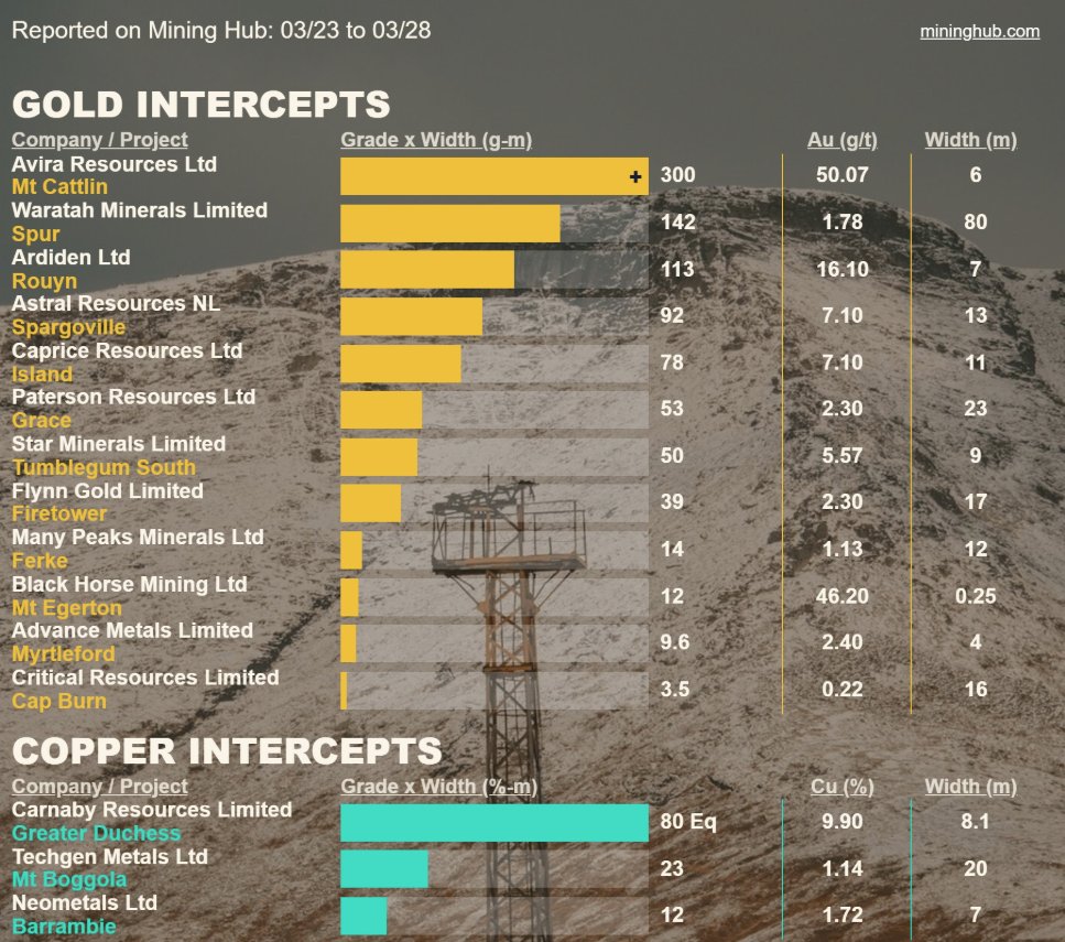 Scott North tweet media