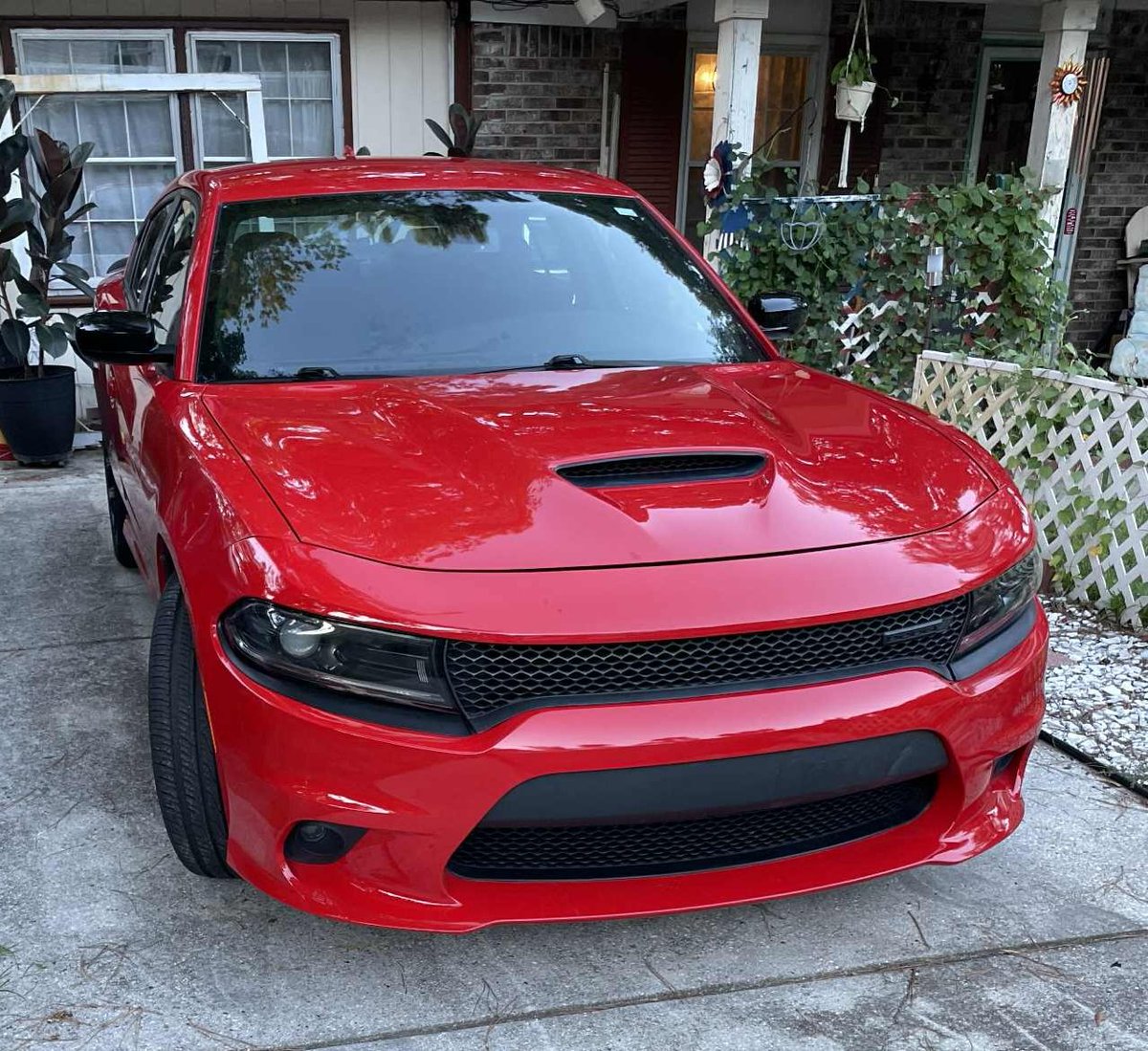 Michele Fee tweet media