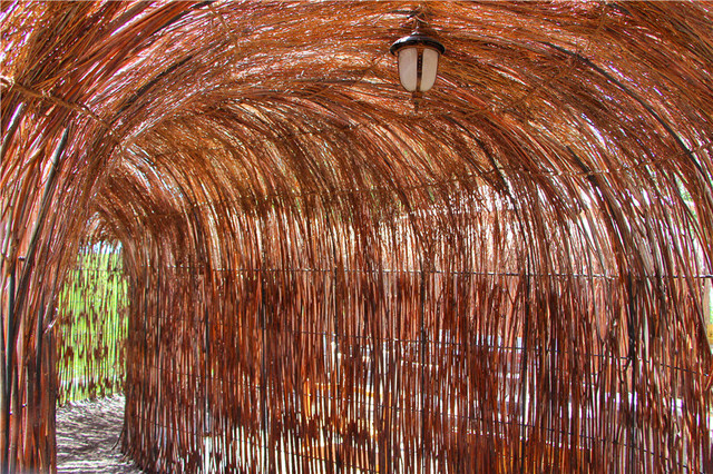 Lucinda Niles tweet media