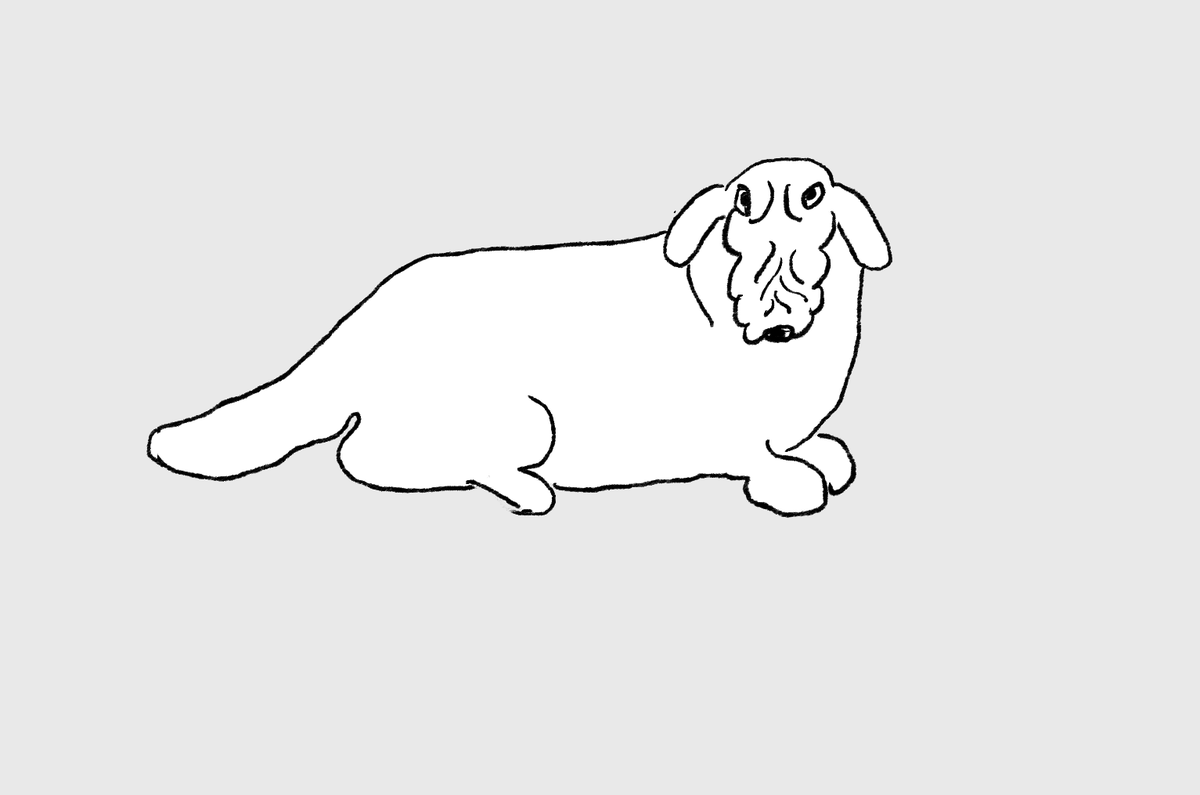 米粒くん tweet media