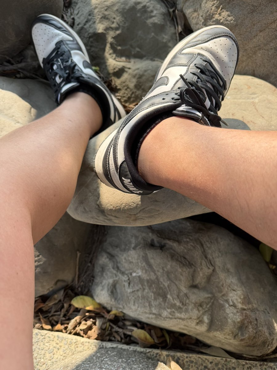 雲林囝仔 tweet media