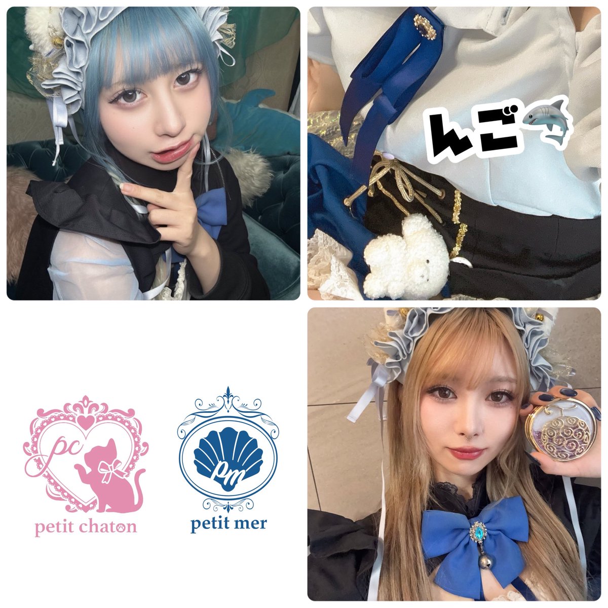 petit mer / petit chaton 公式アカウント tweet media