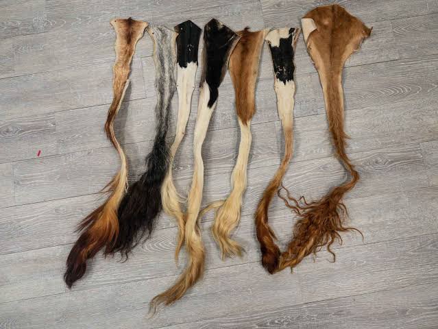 THANOS " the mad titan" tweet media