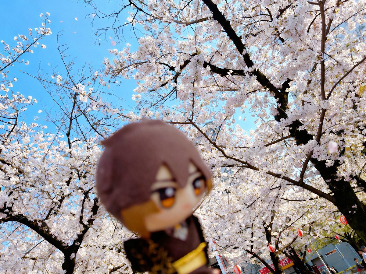 🔶べに tweet media