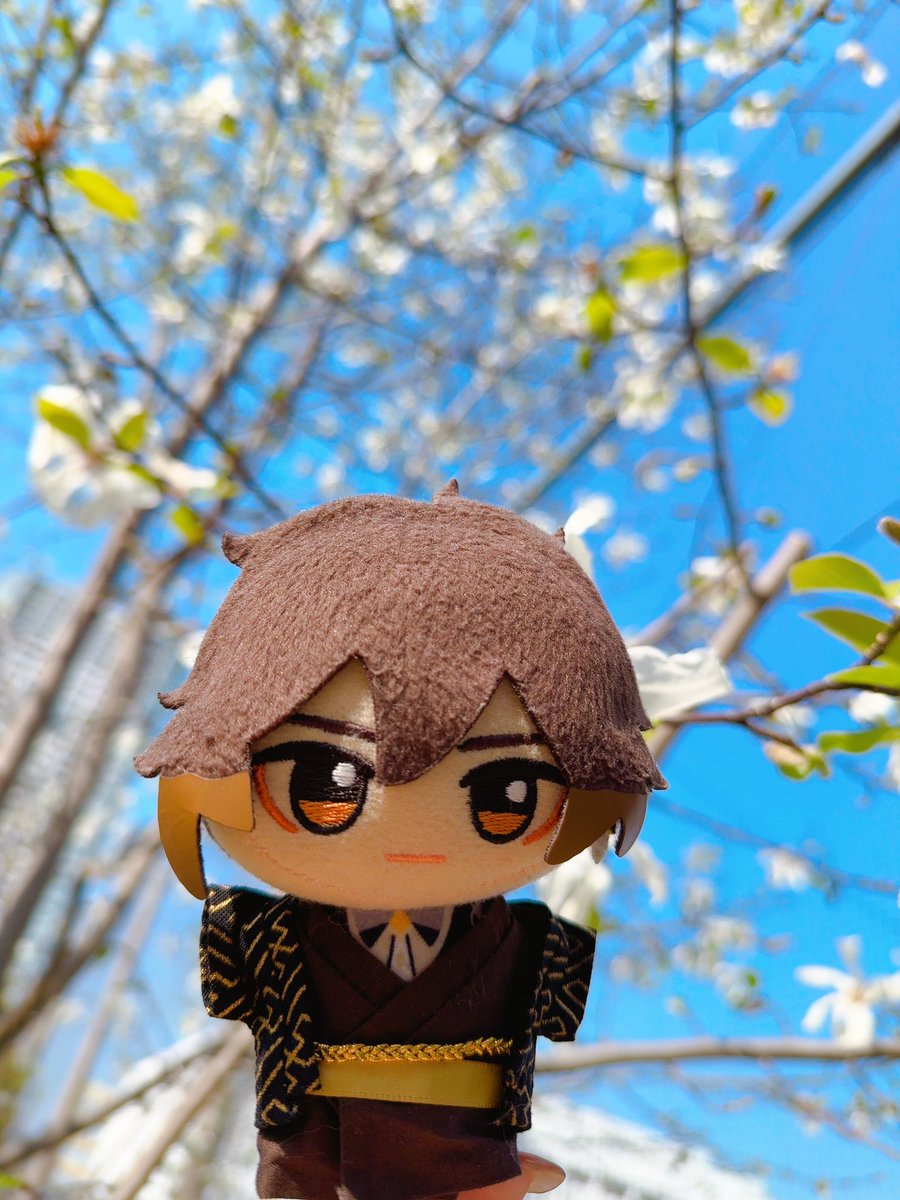 🔶べに tweet media