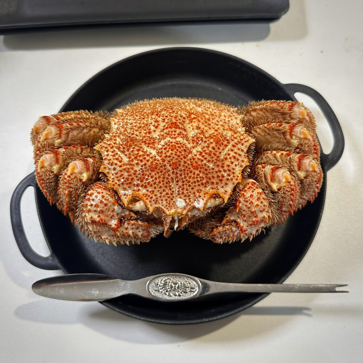 さとり社長 tweet media