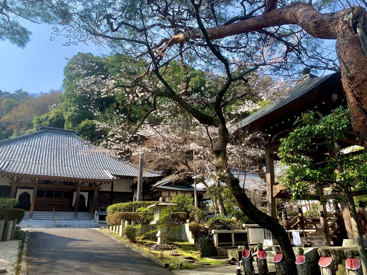 Allein Adler（アライン アドラー） tweet media