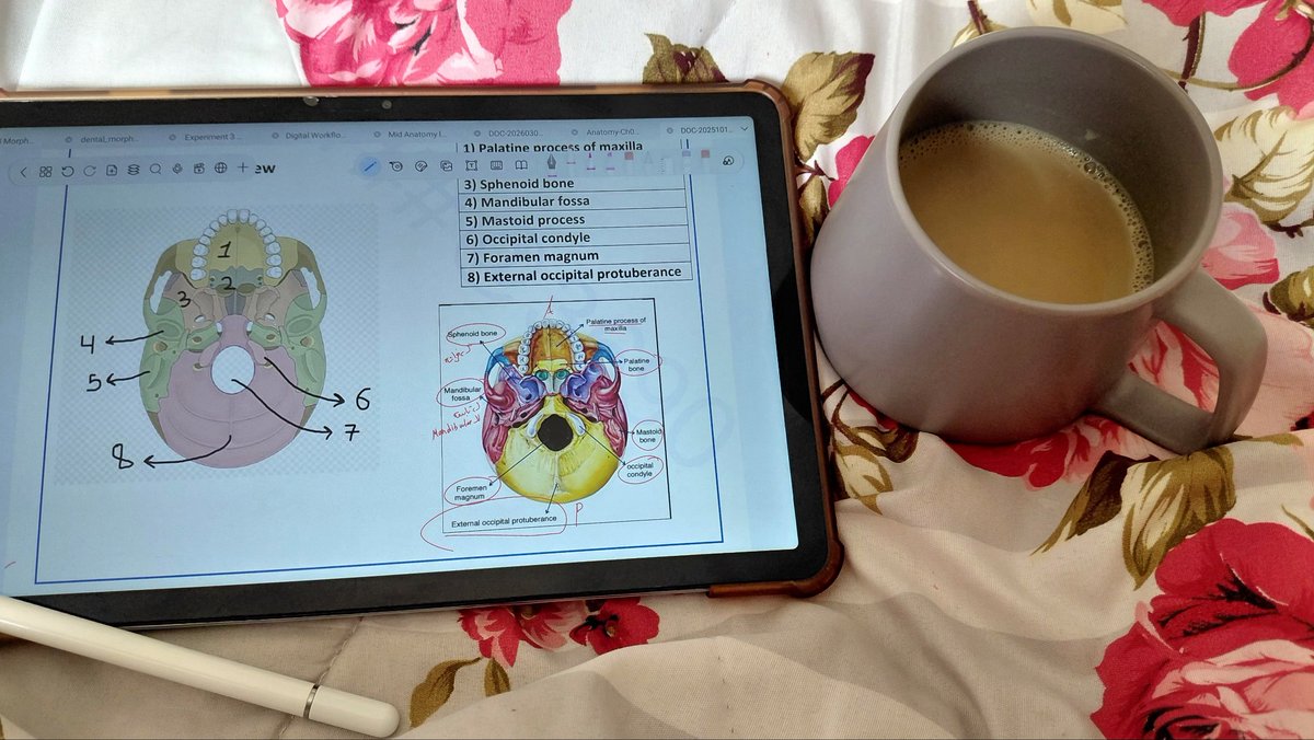 𝓗𝓪𝓵𝓪 tweet media