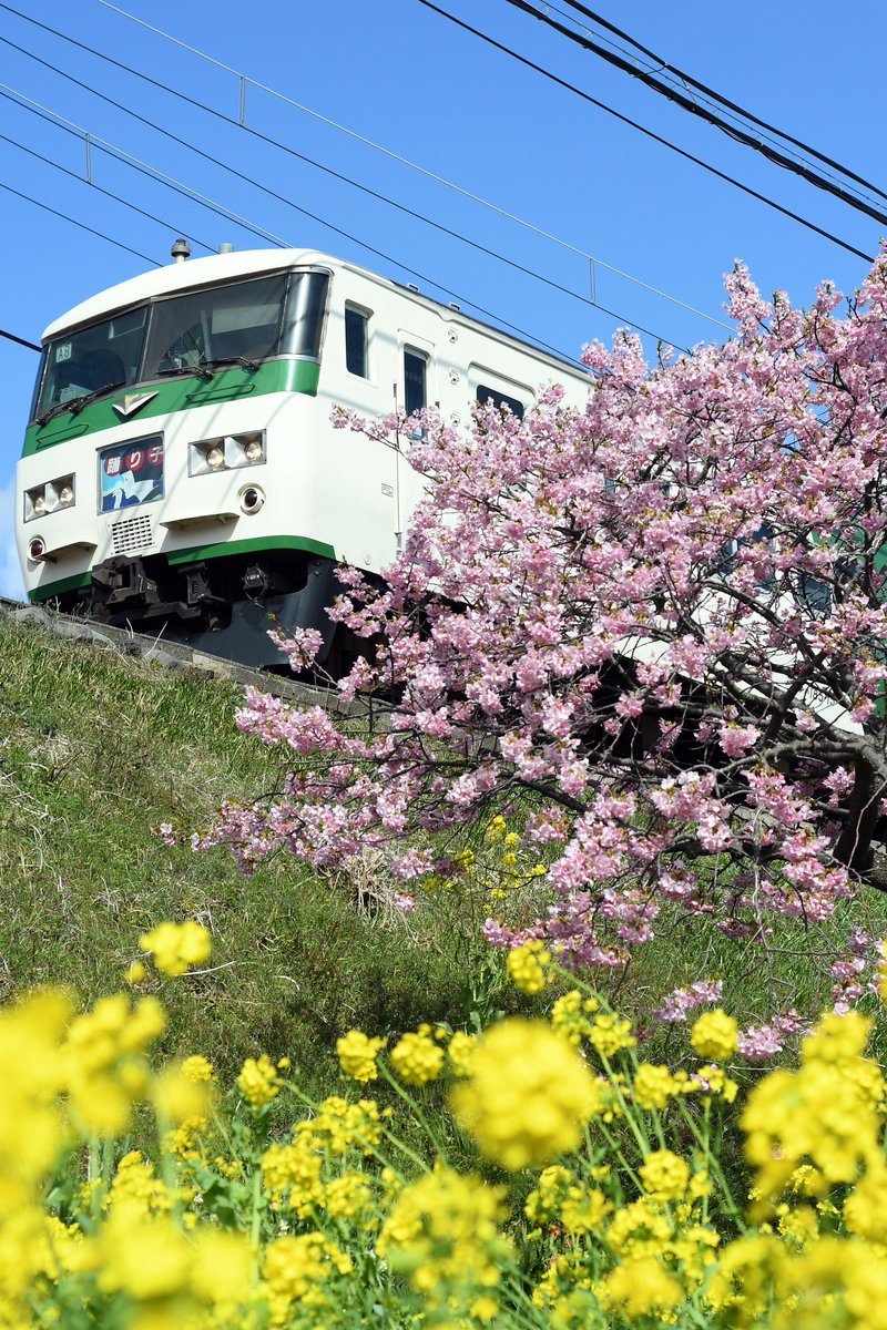 やま推し tweet media