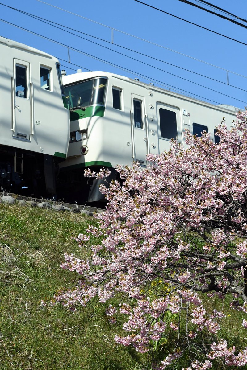 やま推し tweet media