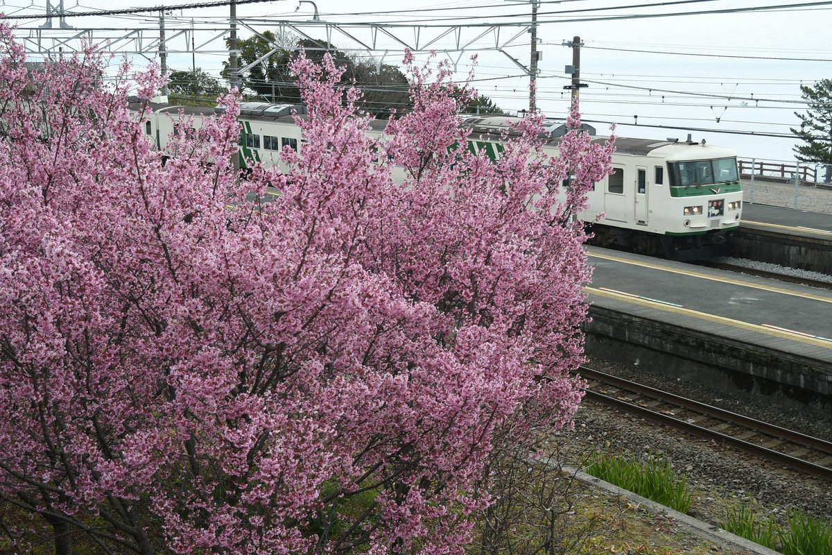 やま推し tweet media