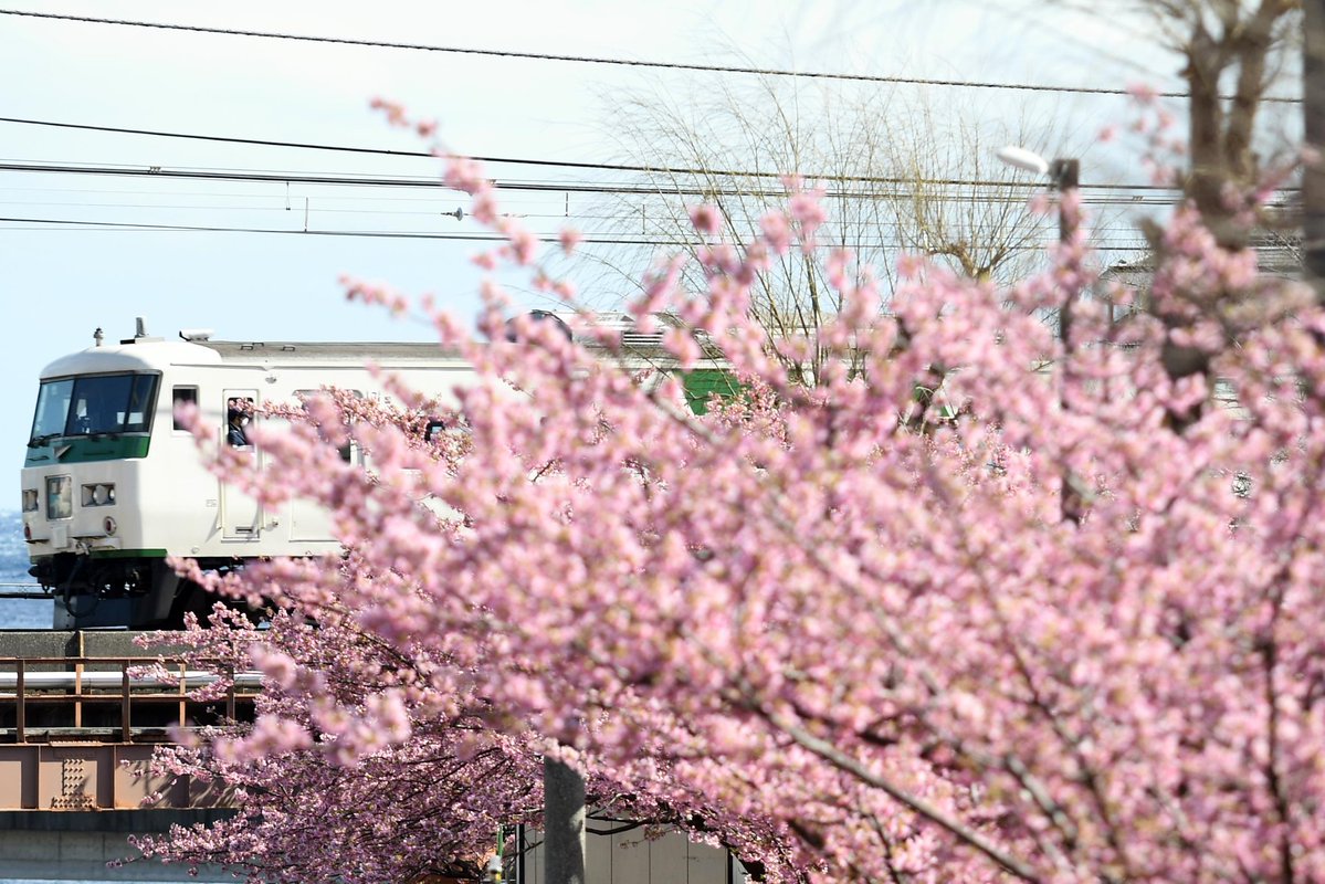 やま推し tweet media