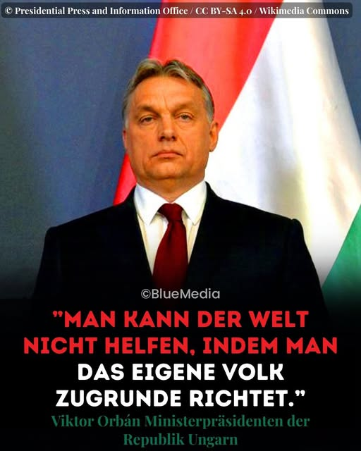 michael baumeister tweet media