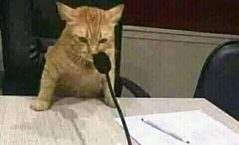 رضــوان tweet media