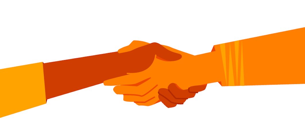 Nova.HTML || Web Dev tweet media