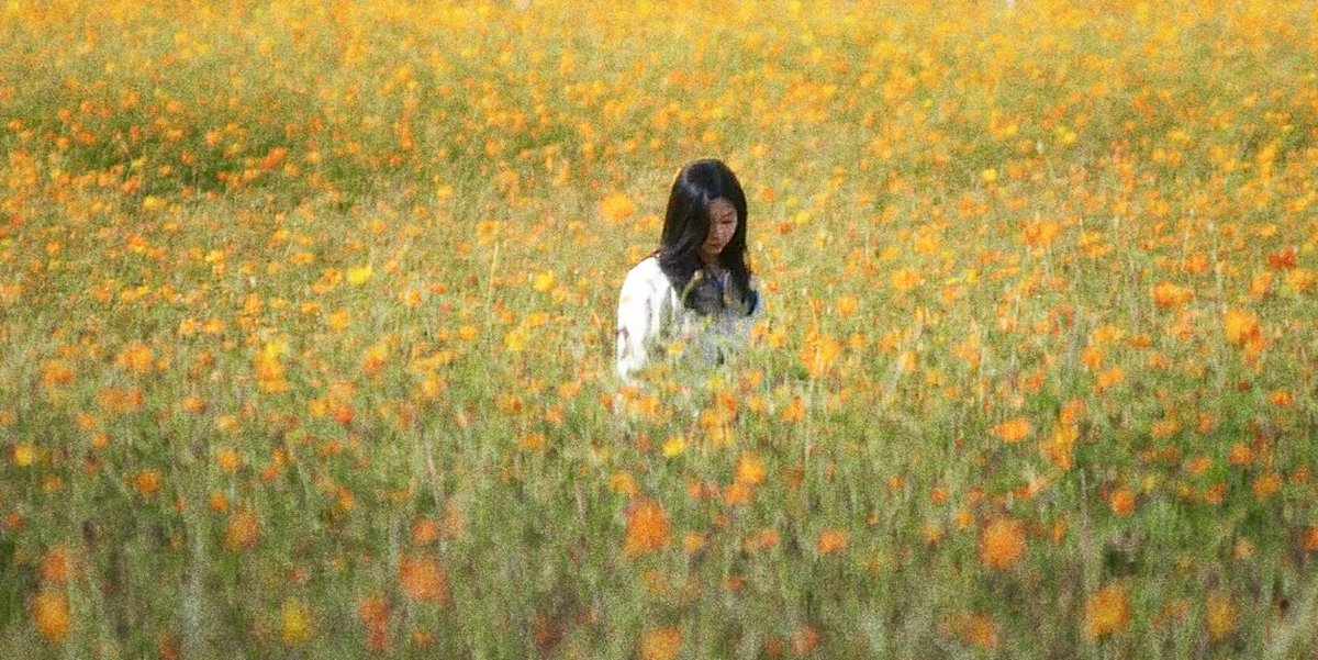 ᴷᵈʳᵃᵐᵃ ᴮʳᵉᵉᶻᵉ tweet media