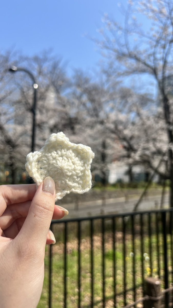 Kichita03's tweet photo. 公園でお花見しながら編み物🧶
#かぎ針編み https://t.co/GO7lkHXQUN